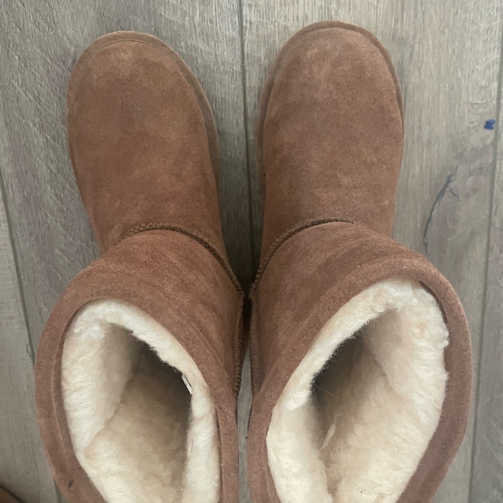 Bear paw kids UGGS